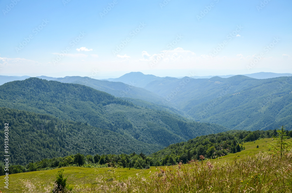 Obraz premium Rolling green mountains and forested valleys rise under a bright blue sky. Tranquil, expansive landscape invites exploration, nature, and outdoor adventure in a peaceful, scenic setting. Carpathians