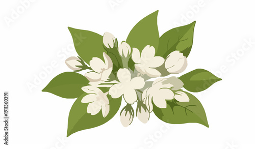 Arabian jasmine flower clipart decorative vector set
