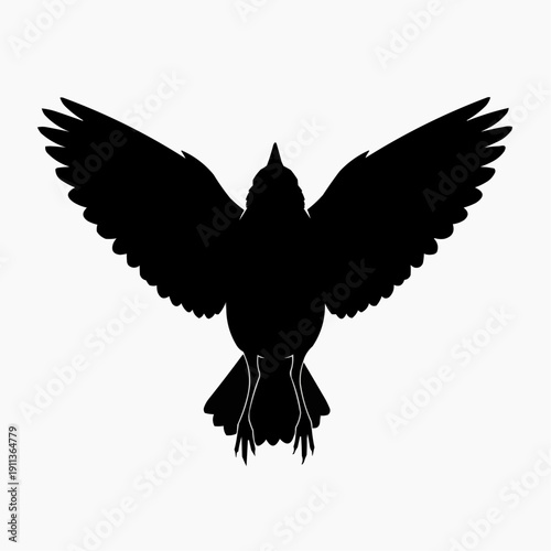 Striking black silhouette graphic of a soaring bird viewed from below with wings fully extended in an upward glide on white background