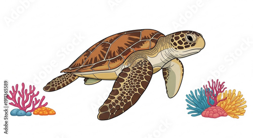 Sea turtle swimming near colorful coral reef with seaweed