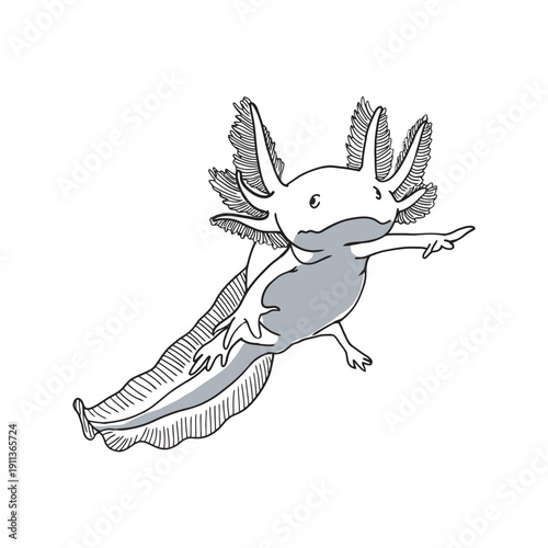 Stunning axolotl illustration with flowing gills and tail