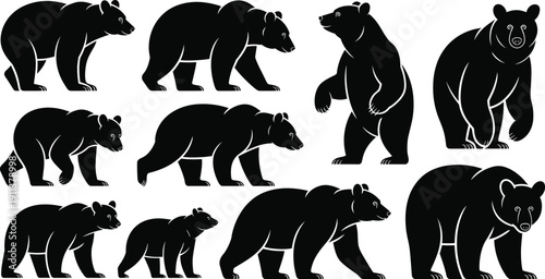 Black bear silhouette collection, wildlife animal vector illustration set with standing and walking grizzly bear poses