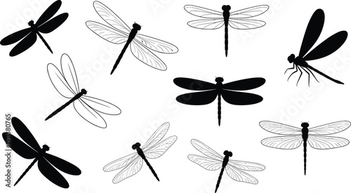 Dragonfly silhouettes and detailed blue line illustrations isolated on white background, artistic insect collection for nature, design, education