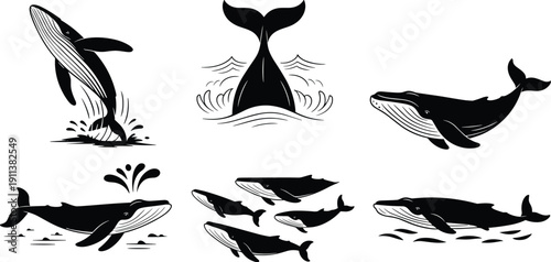 Stylized whale illustrations showing breaching, swimming, tail splashing, pod movement, blowhole spouting, underwater gliding, ocean wildlife behaviors