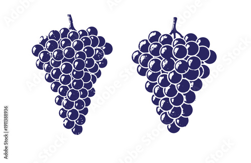 Grunge texture Two bunches of dark purple grapes with glossy texture and white highlights on white background Vintage Style