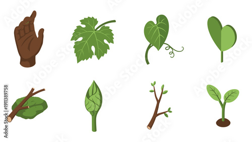 Growing hands and leaves with roots and seedlings