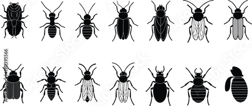 Insect silhouette collection showing beetle ant fly and bug shapes, black vector icons isolated on white background for design use