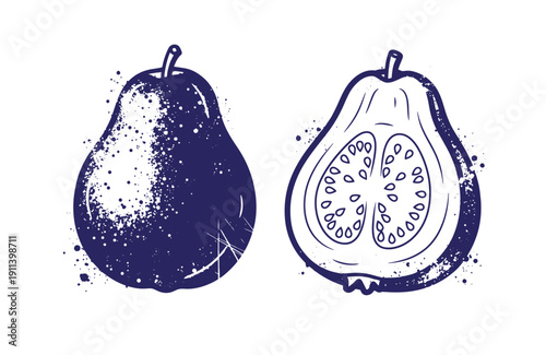 Grunge texture Blue illustration of whole and halved figs on white background  fruit and food concept Vintage Style