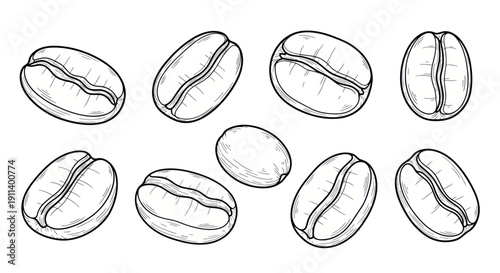 Hand Drawn Coffee Beans Illustration - Isolated on White Background