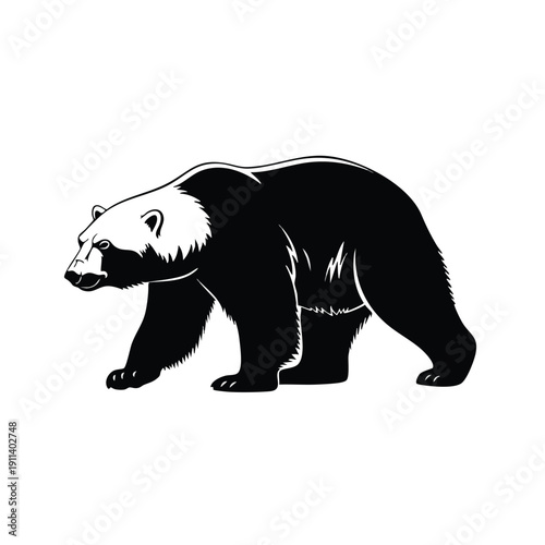 Black and white illustration of a walking grizzly bear.