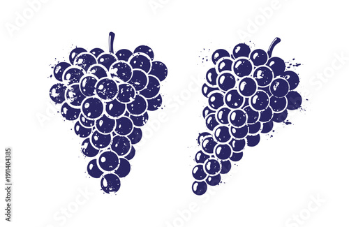Grunge texture Two dark blue bunches of grapes with artistic splatters on white background Vintage Style