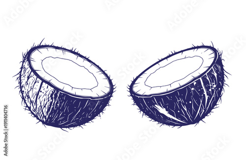 Grunge texture Two halves of a coconut with hairy skin and white interior on plain white background Vintage Style