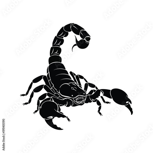 Black Scorpion Illustration Detailed Silhouette Art.