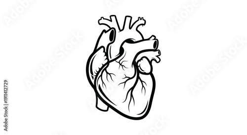 Anatomical Heart Illustration, Black and White, Medical Symbol