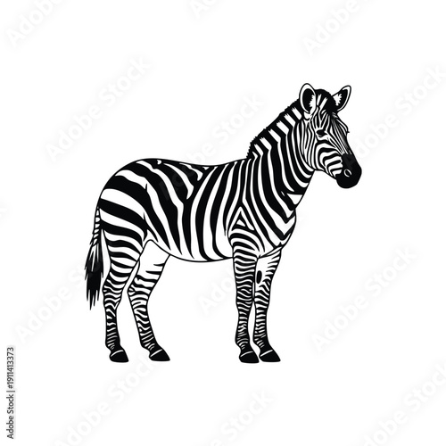 Detailed Illustration of a Standing Zebra with Black and White Stripes.