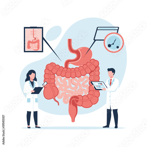 Doctors examine digestive system, stomach, intestines, medical research, healthcare concept