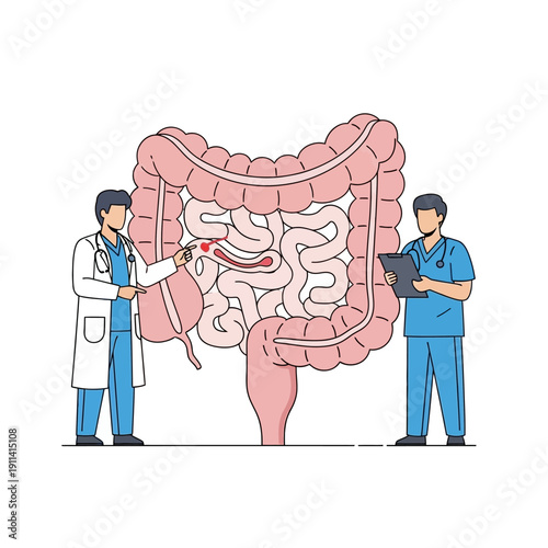 Doctors examining large intestine anatomy, medical illustration of digestive system health