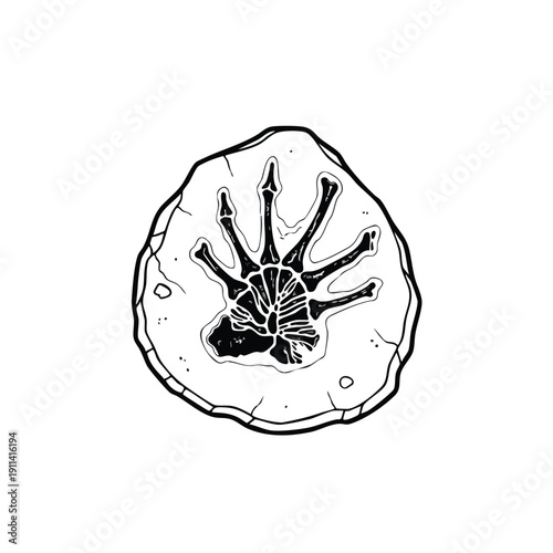 Fossilized Hand Print Skeleton Ancient Discovery.