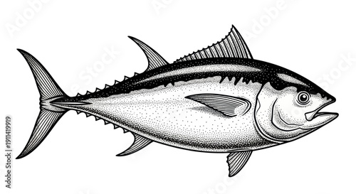 Tuna Fish Illustration - Black and White Line Art