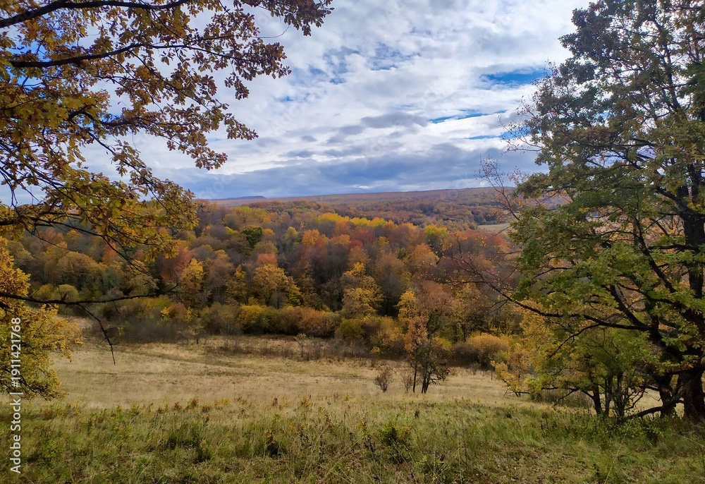 Obraz premium A fabulous autumn forest in all colors of colors in a lush outfit of yellow foliage in the seasonal period of the year in the foothills
