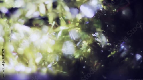 Wallpaper Mural Abstract Light Leaks Overlay Background Torontodigital.ca