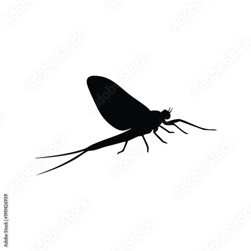 Silhouette of a Mayfly Insect with Long Tails.