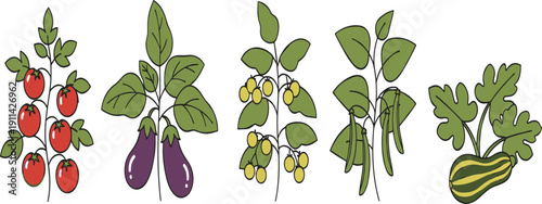 Vegetable Garden Plants Collection Flat Vector Set Isolated on White Background