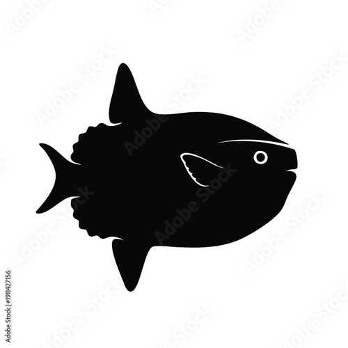 Silhouette of a Mola Mola Ocean Sunfish swimming.