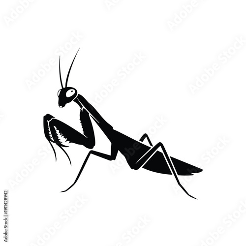 Silhouette of a Praying Mantis Insect in a Predatory Stance.