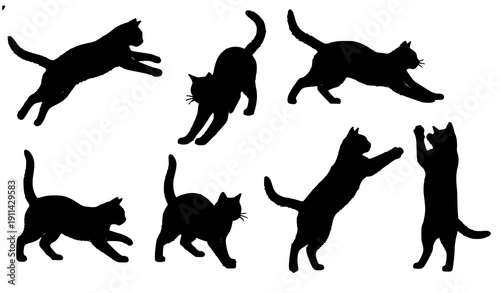 Realistic cat silhouettes vector set of different feline poses isolated on white background
Keywords: