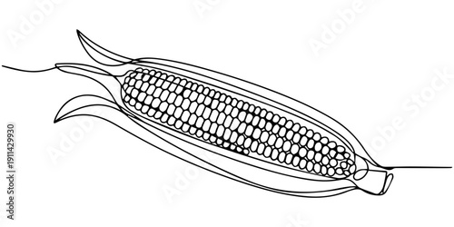 Maize ear in continuous line art drawing style. Corn cob black linear sketch isolated on white background. Vector illustration