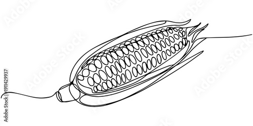 Maize ear in continuous line art drawing style. Corn cob black linear sketch isolated on white background. Vector illustration