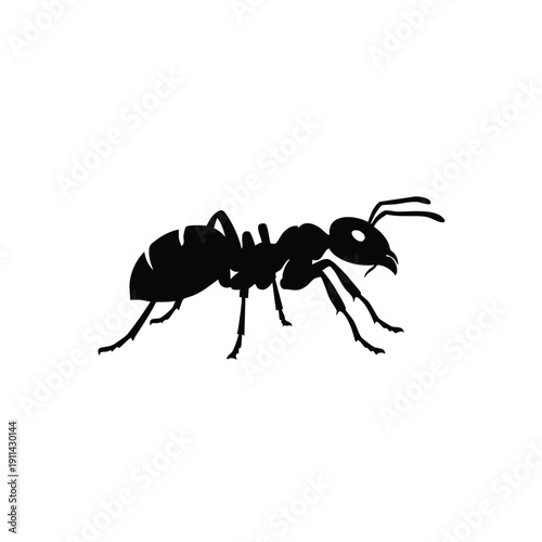 Silhouette of an ant on a white background.