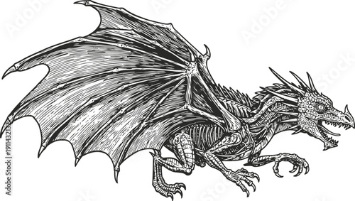 Intricate black and white dragon illustration with spread wings and fierce expression