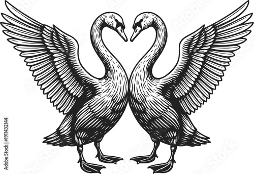 Two elegant swans facing each other with wings spread wide in symmetrical black and white illustration