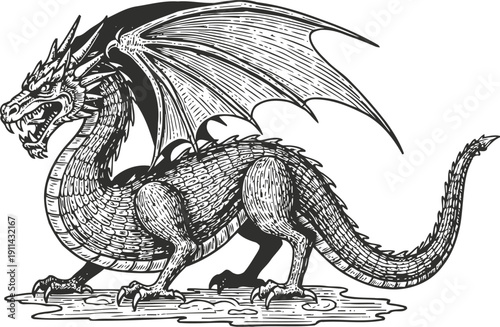 Detailed black and white illustration of a fierce mythical dragon with wings and scales, fantasy creature design