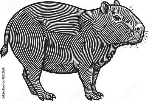 capybara illustration with detailed line art style, cute large rodent facing right, black and white drawing