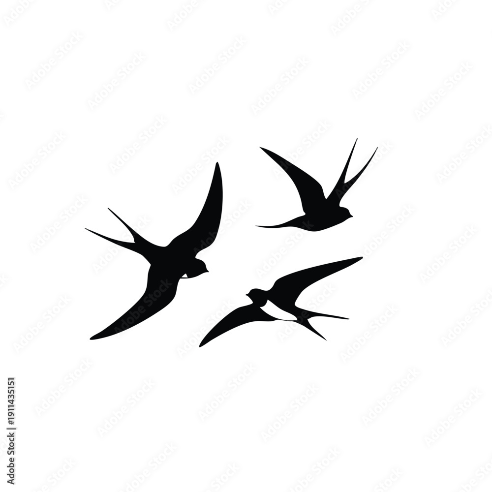 Fototapeta premium Three Silhouettes of Swallows in Flight.