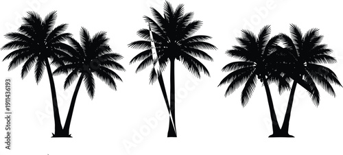 Black palm tree silhouettes collection, tropical coconut palm illustration set, isolated beach trees, minimalist summer nature design elements