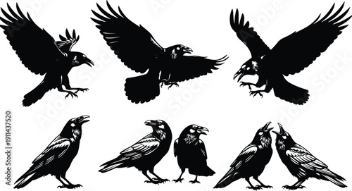 Black silhouette collection of ravens and crows flying and perched, gothic bird set for halloween design, spooky nature elements, isolated vector