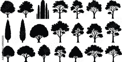 Black tree silhouettes collection, ornamental deciduous and cypress tree icons illustration set, isolated botanical shapes, minimalist landscape design elements