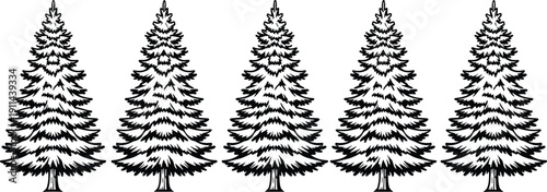 Evergreen pine tree silhouettes collection, winter conifer forest illustration set, isolated fir trees, minimalist nature and holiday design elements