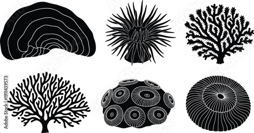 Silhouette collection of various coral reef species, sea anemone and marine polyps set, underwater ocean life design elements, isolated vector, nature