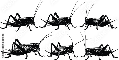 Silhouette collection of various cricket and grasshopper species, jumping meadow insects set, garden pest and summer nature design elements, isolated