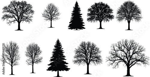 Set of detailed black tree silhouettes including deciduous and evergreen species, isolated on white background, natural forest illustration for graphic design