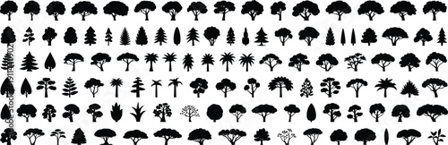 Tree silhouettes mega collection, deciduous conifer and palm tree icons illustration set, isolated forest symbols, minimalist nature graphic design elements