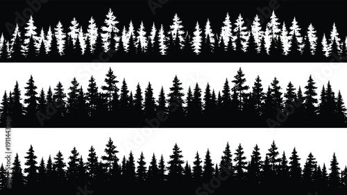Black and white coniferous forest tree line borders, silhouette of evergreen pine and fir trees isolated on white background, nature panorama