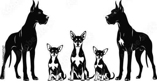 Black and white dog breed silhouette collection featuring Great Dane and Chihuahua, isolated on white background for pet care and veterinary