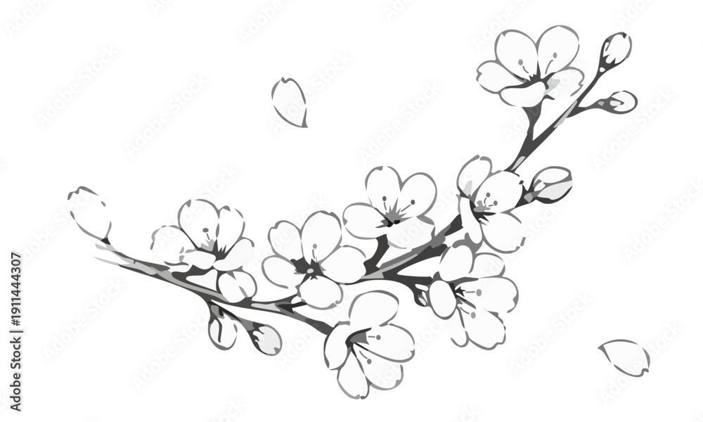 Fototapeta premium Cherry blossom flowers