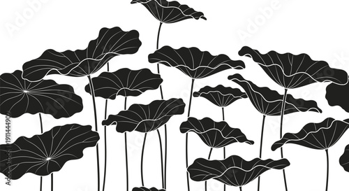 Black and white illustration of lotus leaves, a beautiful and minimalist design.